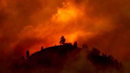 Picture of an out of control wildfire on top of a large hill with trees silhouetted by the orange flames